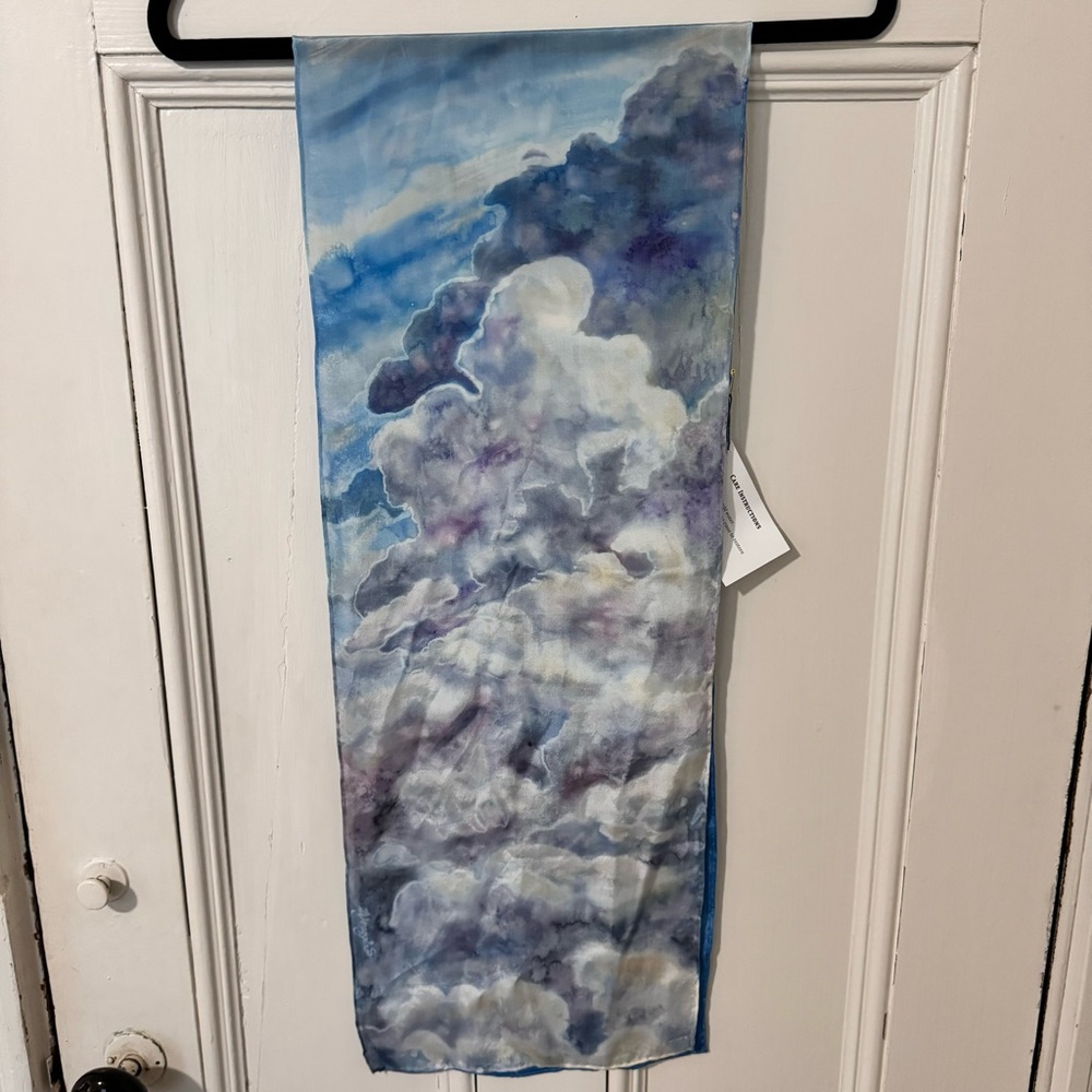 Deborah Younglao Hand Painted Silk Scarf. NWT
